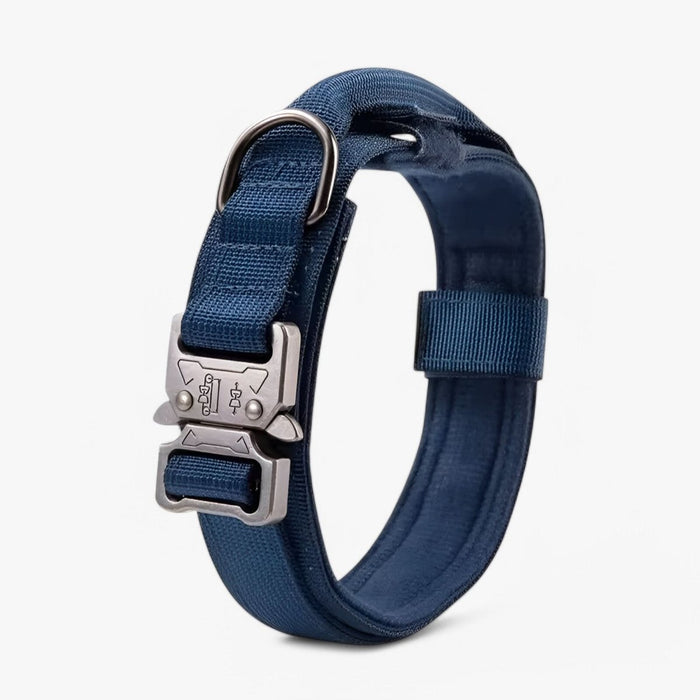 Blue / M (36-48CM)
