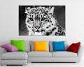 Puma animals décor Snow Leopard canvas Cat wall art print