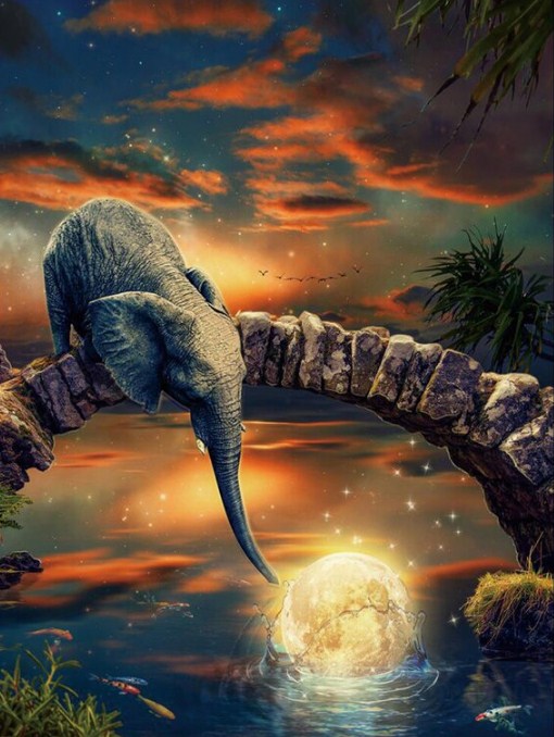 Baby Elephant at Fantasy Place Diamond Painting