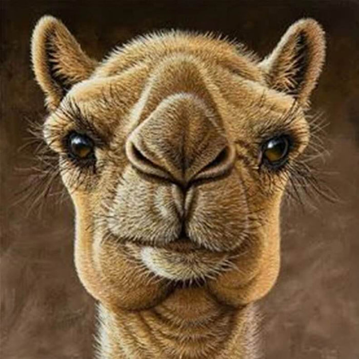 Camel Diamond Painting