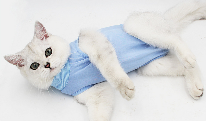 Cat Surgery Recovery Suit Anti Pet Licking Wounds Clothes