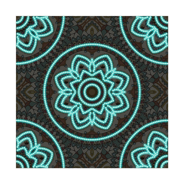 Colorful Mandala Shine in Dark Diamond Painting
