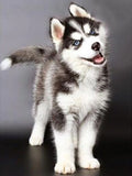 Dog DIY Diamond Painting