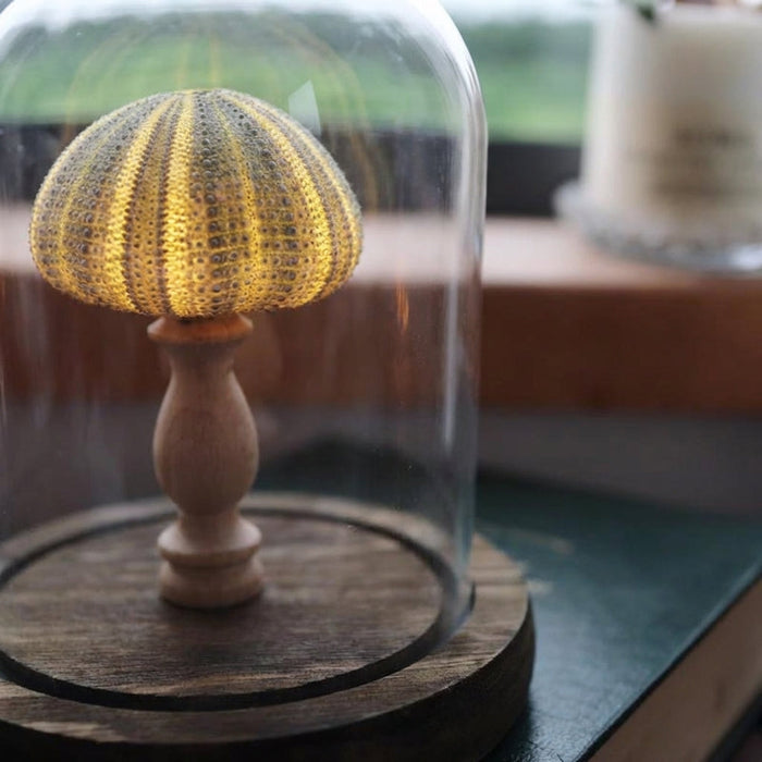 Lampka nocna LED z przezroczystą szklaną kopułą i drewnianą podstawą, idealna do syp 3