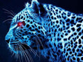 Leopard with Red Eyes Diamond Painting