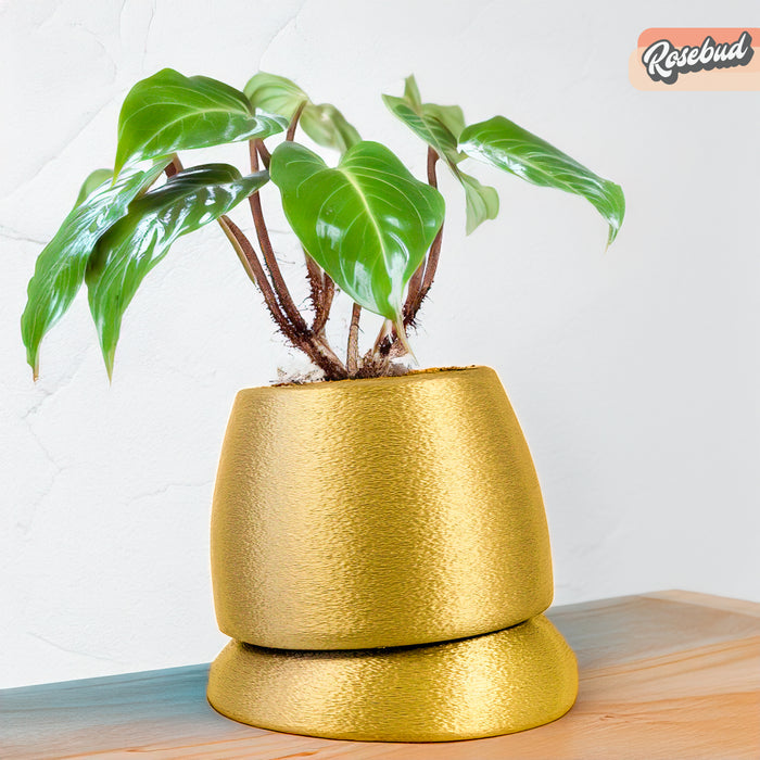 Gold / SMALL