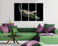 Turtle canvas Animals art Nature wall decor Gift for her Ocean print Coral home artwork