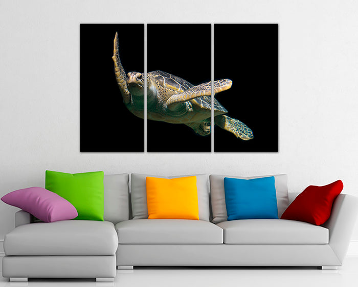 Turtle canvas Animals art Nature wall decor Gift for her Ocean print Coral home artwork
