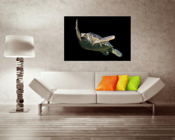 Turtle canvas Animals art Nature wall decor Gift for her Ocean print Coral home artwork
