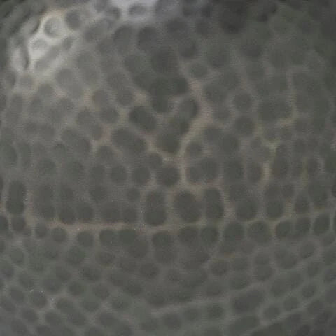 Woody Vase